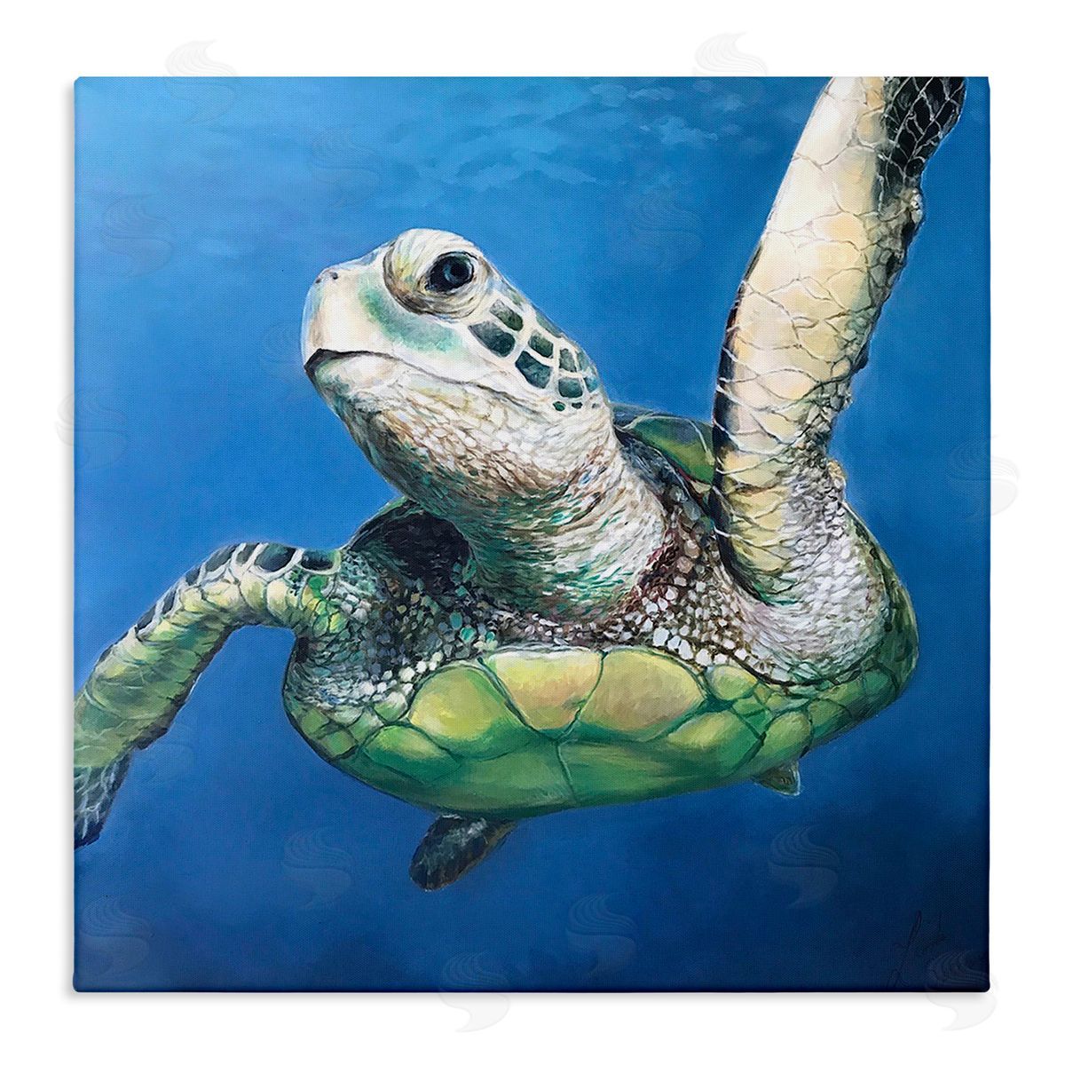 Linda Sperruzzi | Sheldon Turtle Portrait Painting