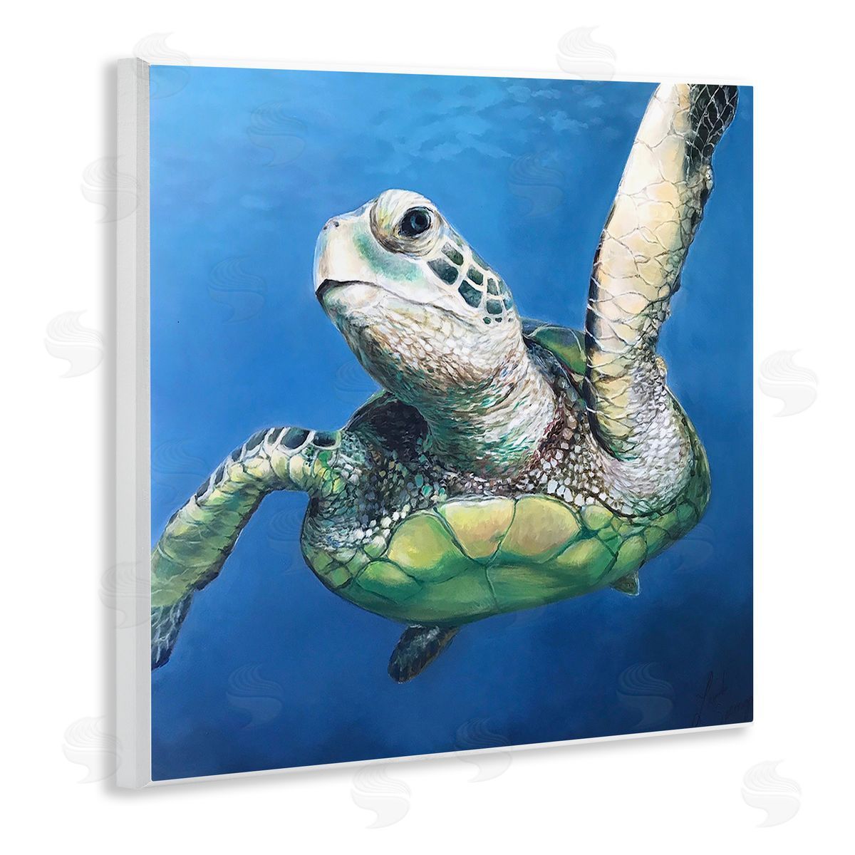 Linda Sperruzzi | Sheldon Turtle Portrait Painting