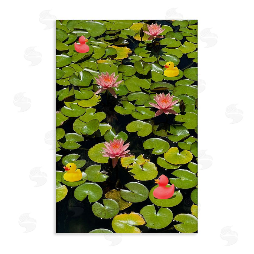 Ashley Singleton | Rubber Ducks on Pond Lilies