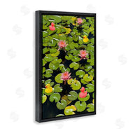 Ashley Singleton | Rubber Ducks on Pond Lilies