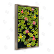 Ashley Singleton | Rubber Ducks on Pond Lilies