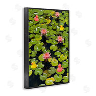 Ashley Singleton | Rubber Ducks on Pond Lilies
