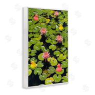 Ashley Singleton | Rubber Ducks on Pond Lilies