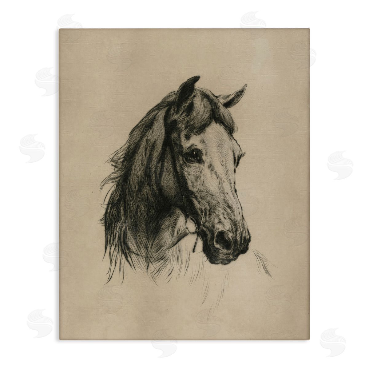 Arlington Prints | Charcoal Horse Portrait
