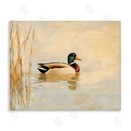 Franklyn Gregory | Green Headed Duck