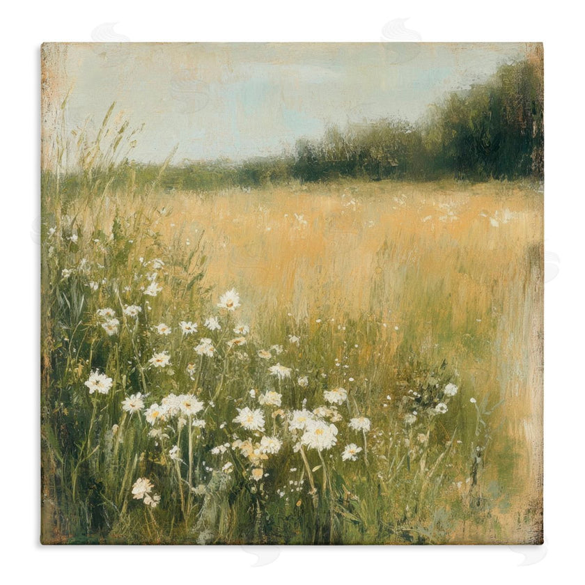 Petal Prints Design | Daisy Dream Field