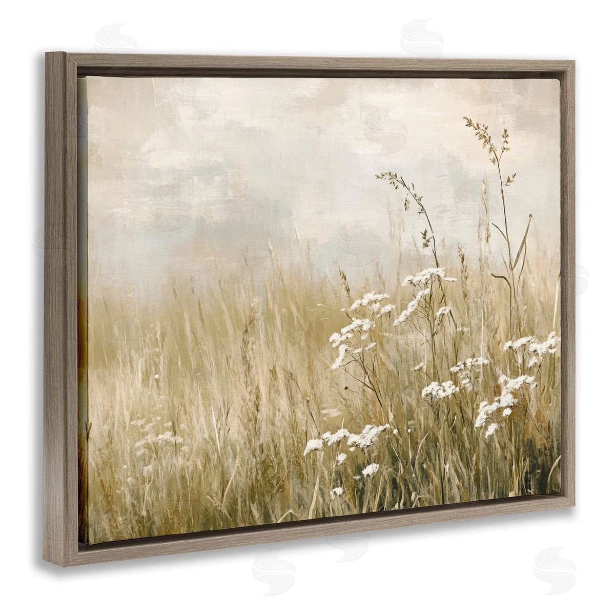 Petal Prints Design Baby's Breath in Meadow Canvas Wall Art Print