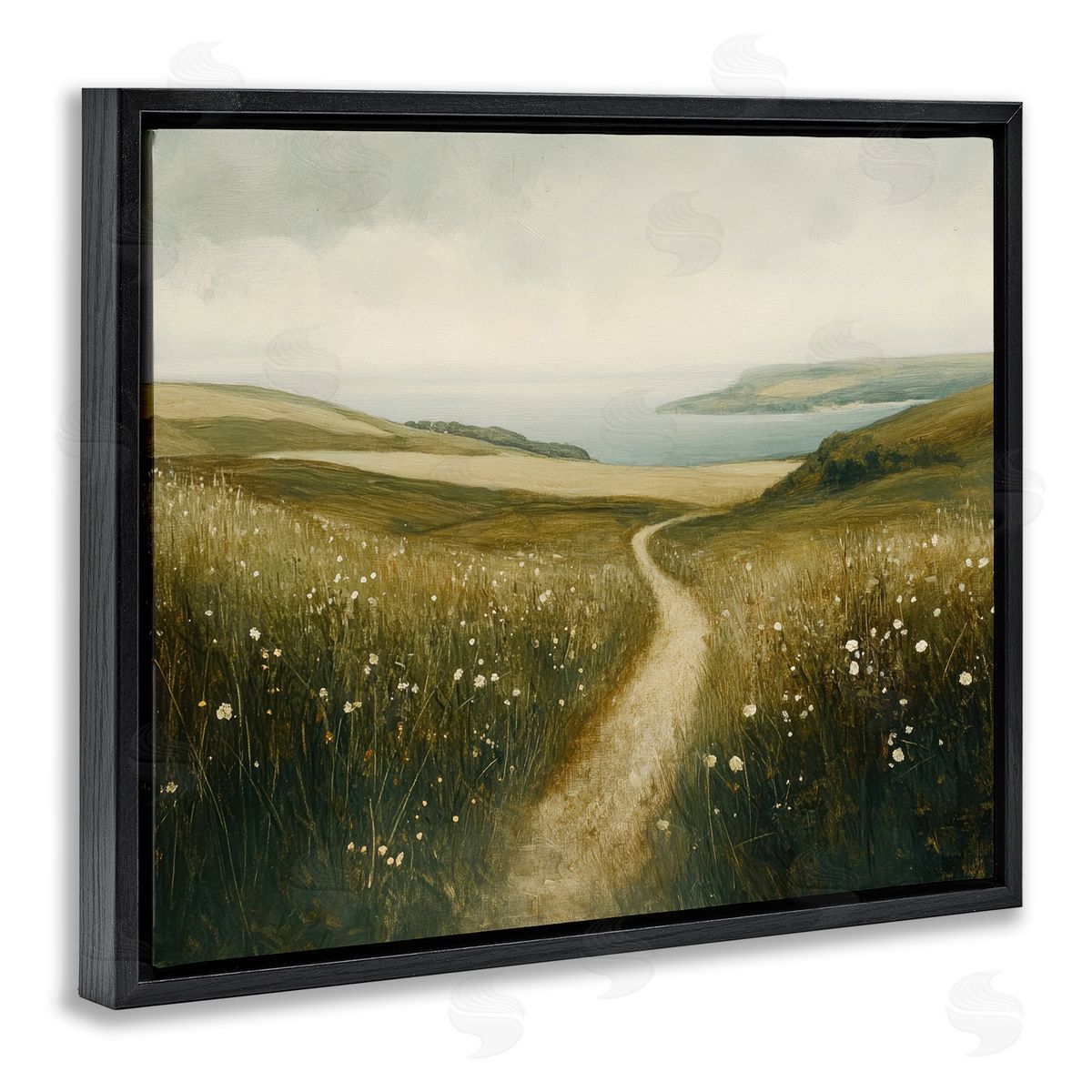 Petal Prints Design Path Through Daisies Canvas Wall Art Print
