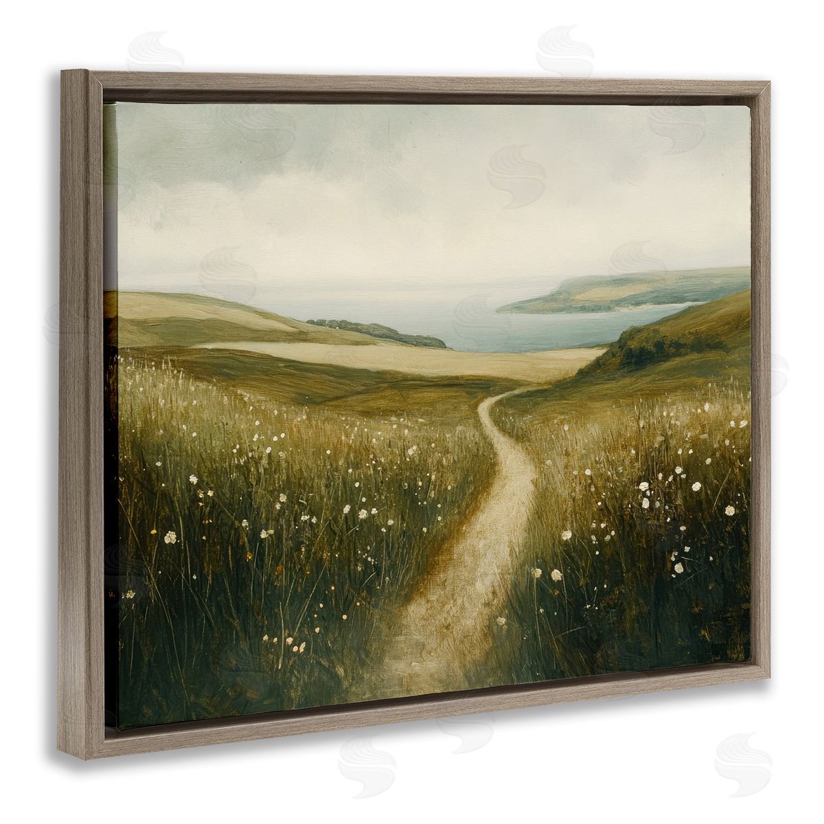 Petal Prints Design Path Through Daisies Canvas Wall Art Print