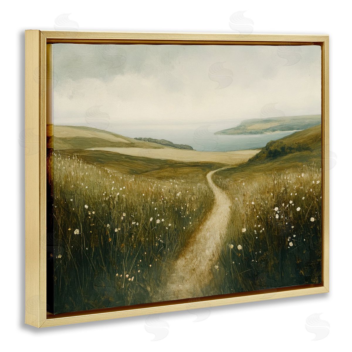 Petal Prints Design Path Through Daisies Canvas Wall Art Print