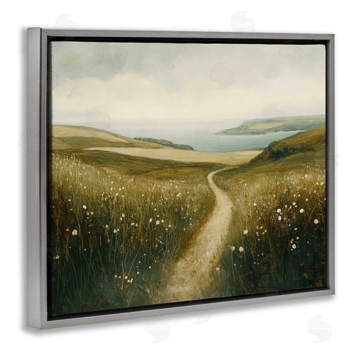 Petal Prints Design Path Through Daisies Canvas Wall Art Print