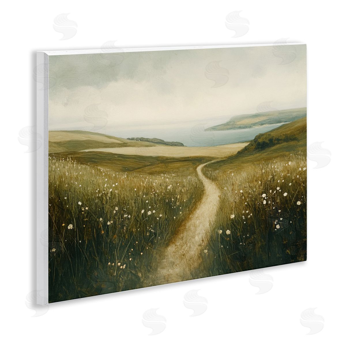 Petal Prints Design Path Through Daisies Canvas Wall Art Print