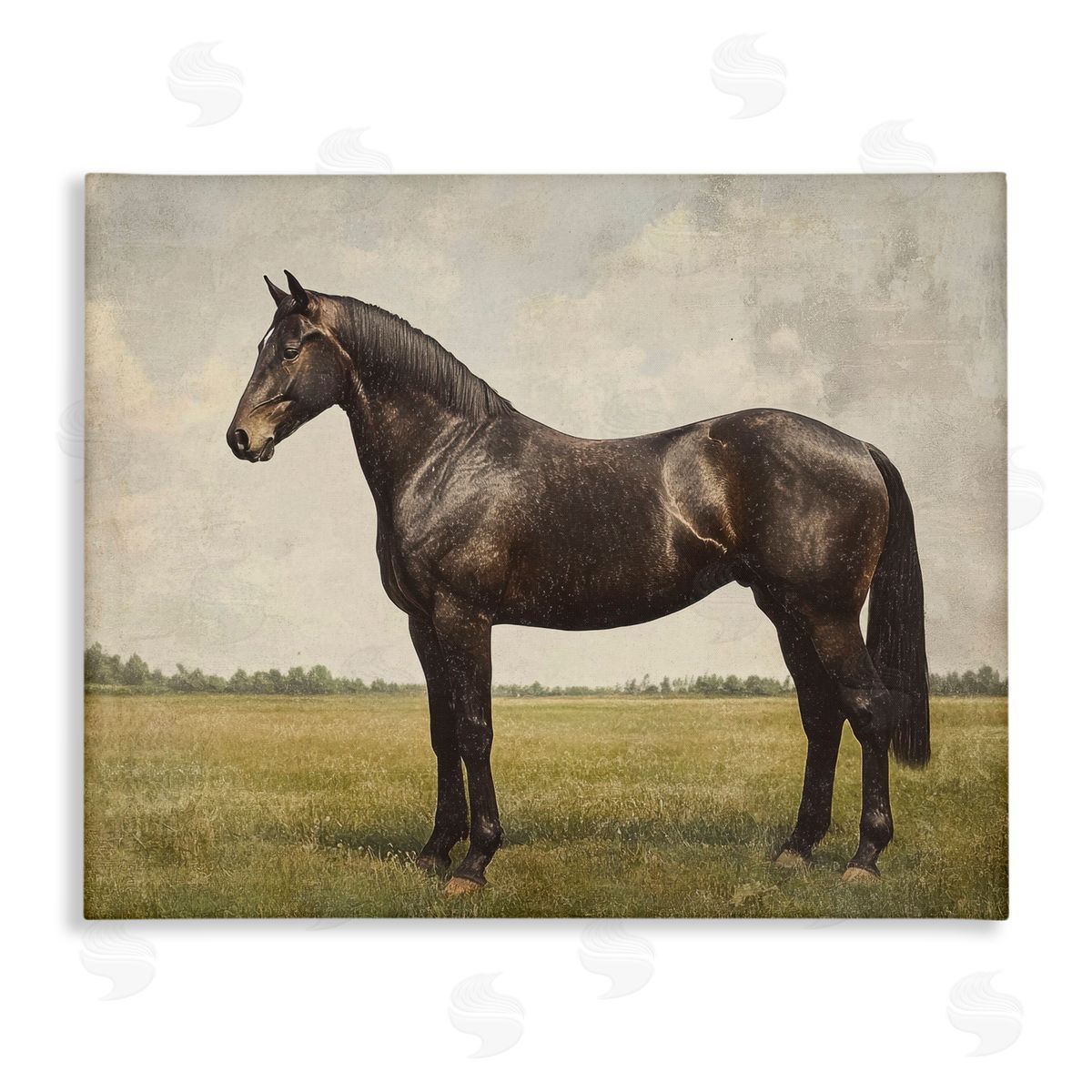 Petal Prints Design Espresso Horse Portrait Canvas Wall Art Print