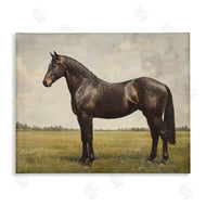 Petal Prints Design | Espresso Horse Portrait