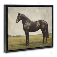 Petal Prints Design | Espresso Horse Portrait