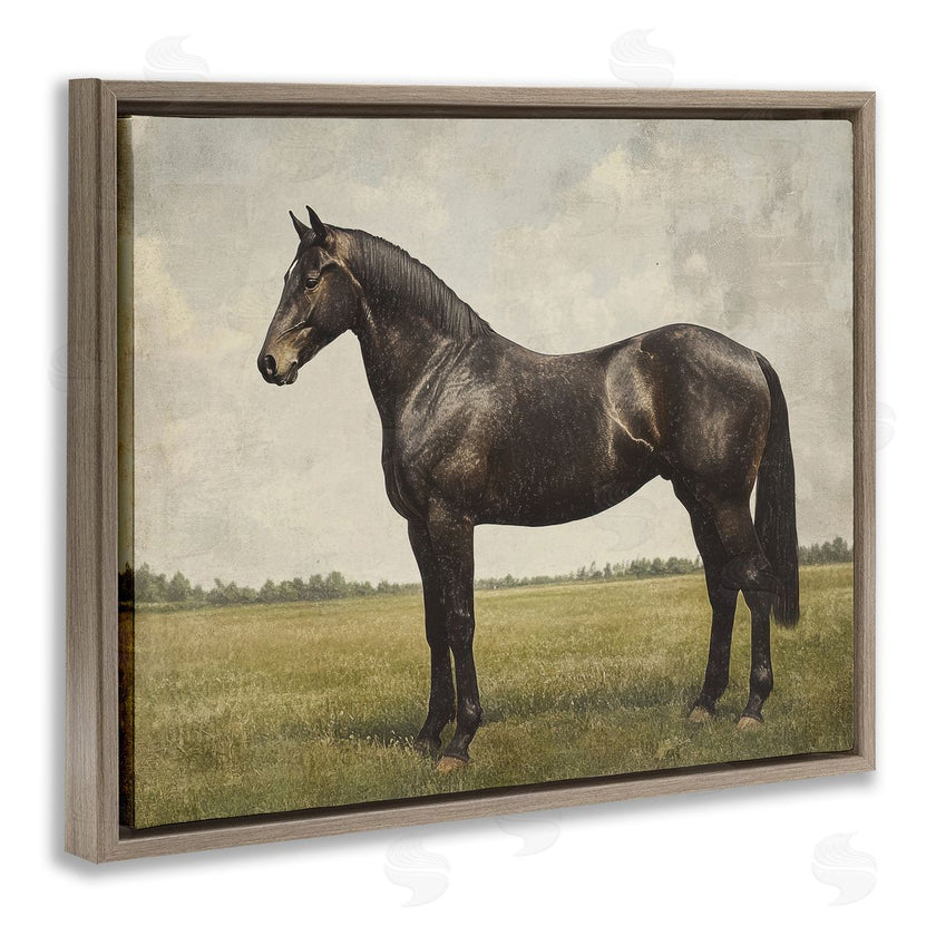 Petal Prints Design | Espresso Horse Portrait