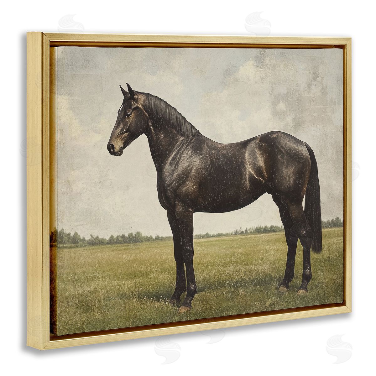 Petal Prints Design Espresso Horse Portrait Canvas Wall Art Print