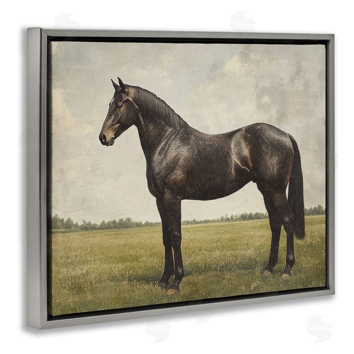 Petal Prints Design Espresso Horse Portrait Canvas Wall Art Print