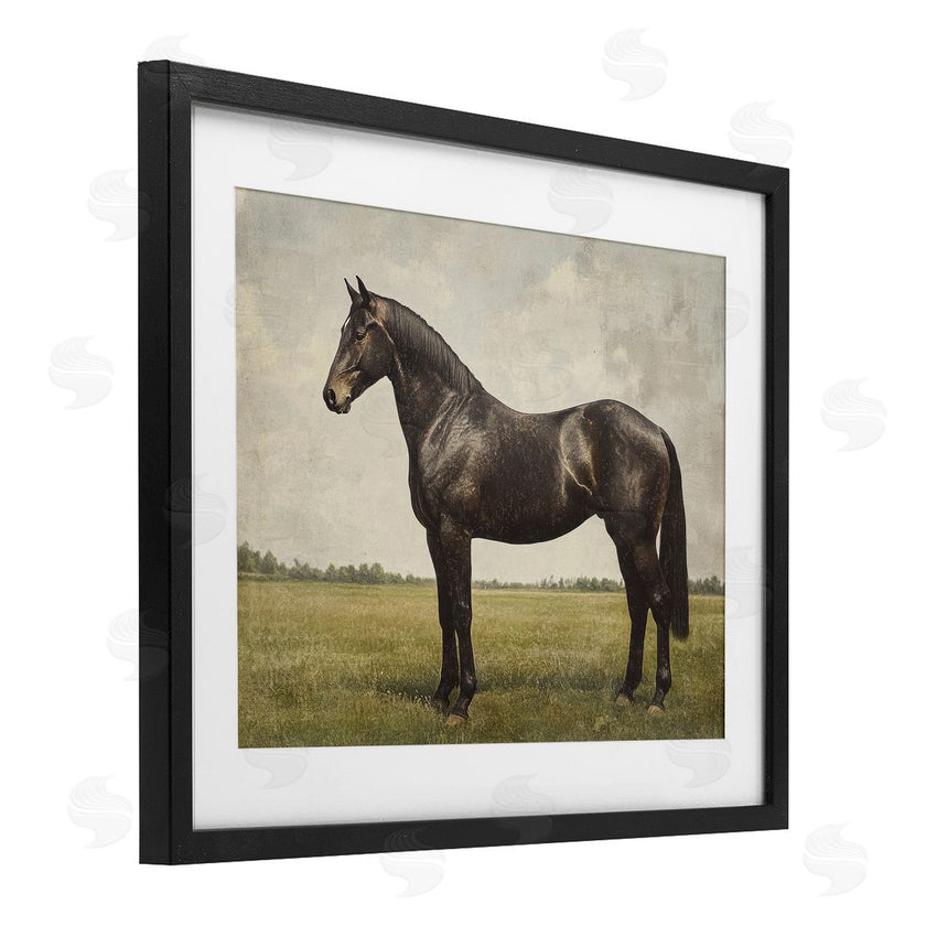 Petal Prints Design | Espresso Horse Portrait