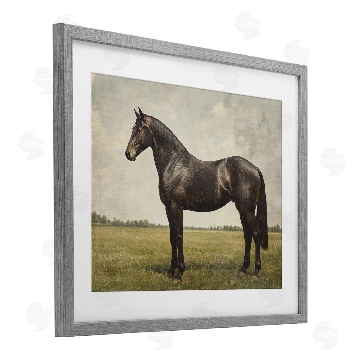 Petal Prints Design Espresso Horse Portrait Canvas Wall Art Print