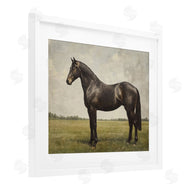 Petal Prints Design | Espresso Horse Portrait