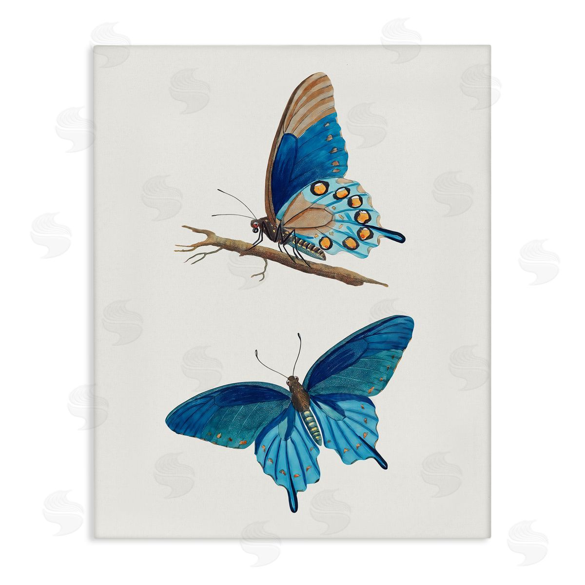 Arlington Prints Blue Butterflies Pair Canvas Wall Art Print