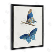 Arlington Prints | Blue Butterflies Pair