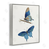 Arlington Prints | Blue Butterflies Pair