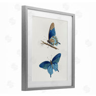 Arlington Prints | Blue Butterflies Pair