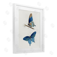 Arlington Prints | Blue Butterflies Pair