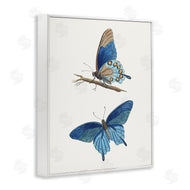 Arlington Prints | Blue Butterflies Pair