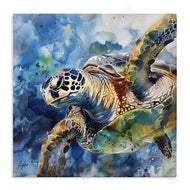 LSR Creative Studio | Watercolor Turtle Impression