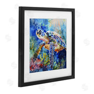 LSR Creative Studio | Rainbow Turtle Reef
