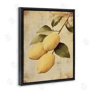 Franklyn Gregory | Lemons On The Vine