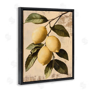 Franklyn Gregory | Lemon Harvest On Vine