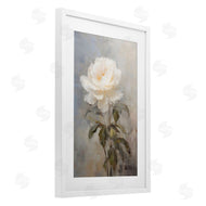 LSR Creative Studio | Pale White Rose