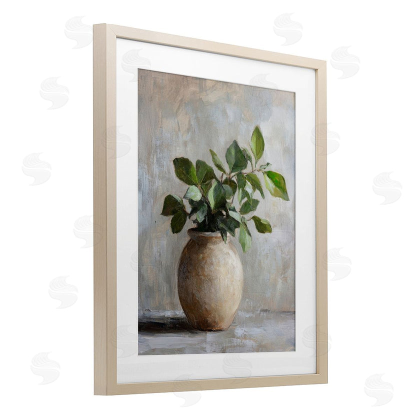 Petal Prints Design | Potted Green House Plant
