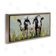 LSR Creative Studio | Cattle & Cow Trio