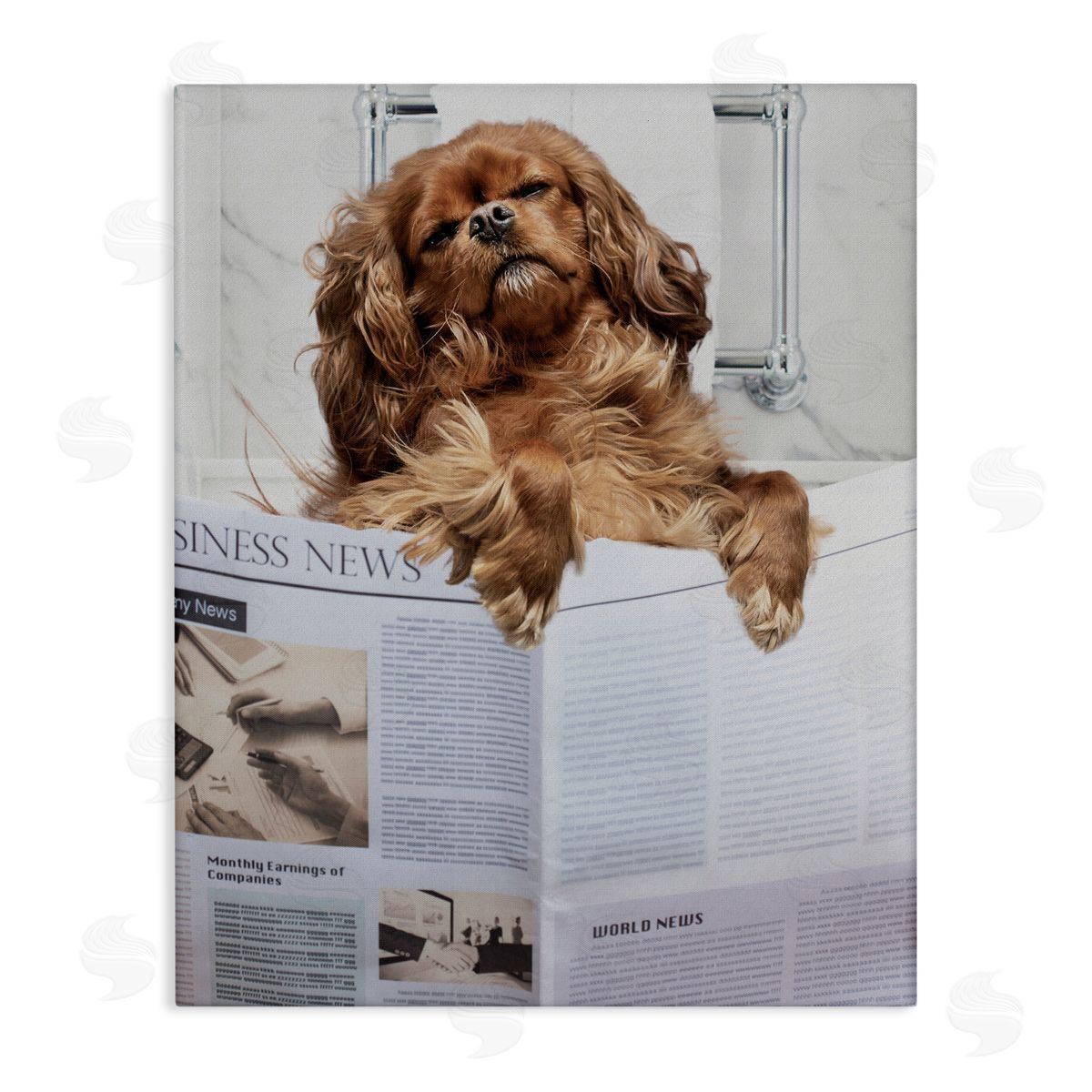 Jesse Keith Sleeping on Loo Bath Humor Canvas Wall Art Print