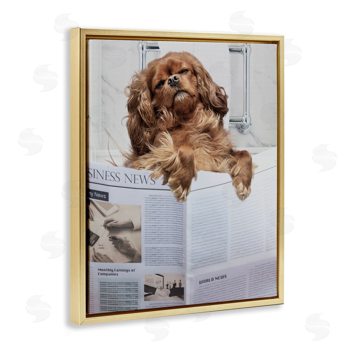 Jesse Keith Sleeping on Loo Bath Humor Canvas Wall Art Print