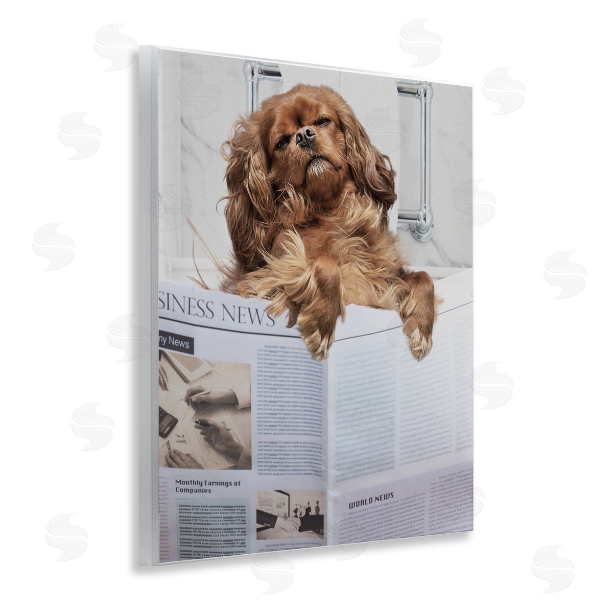 Jesse Keith Sleeping on Loo Bath Humor Canvas Wall Art Print