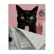 Jesse Keith | Black Cat Bathroom Humor