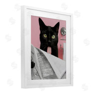Jesse Keith | Black Cat Bathroom Humor