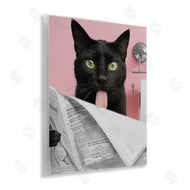 Jesse Keith | Black Cat Bathroom Humor