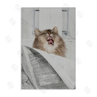 Jesse Keith | Reading Cat Bathroom Humor