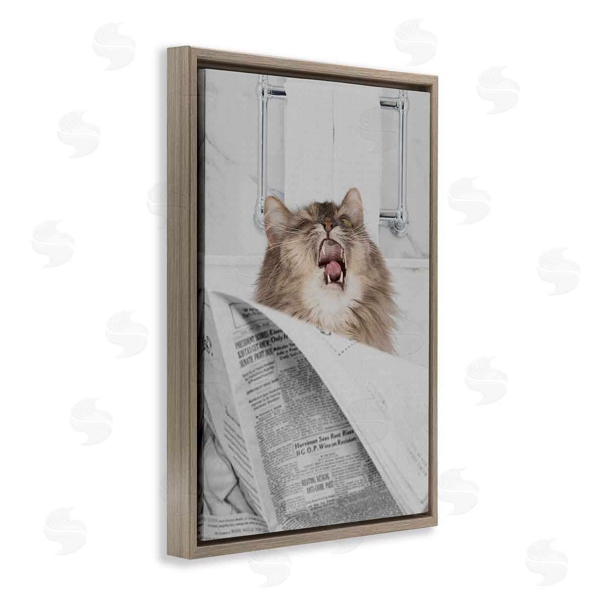 Jesse Keith Reading Cat Bathroom Humor Canvas Wall Art Print