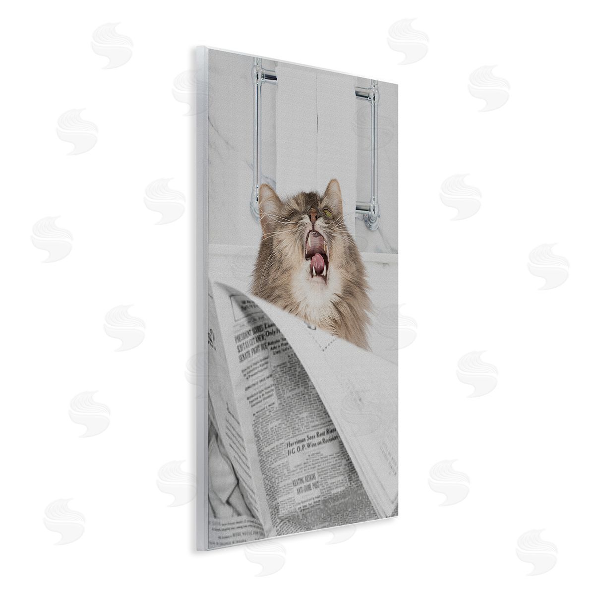 Jesse Keith Reading Cat Bathroom Humor Canvas Wall Art Print