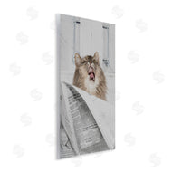 Jesse Keith | Reading Cat Bathroom Humor