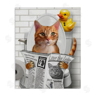 Matthew Piotrowicz | Cat on Toilet with Ducky
