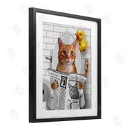 Matthew Piotrowicz | Cat on Toilet with Ducky